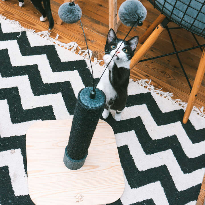 D&D HOME Katzen-Kratzbaum "Pipa"